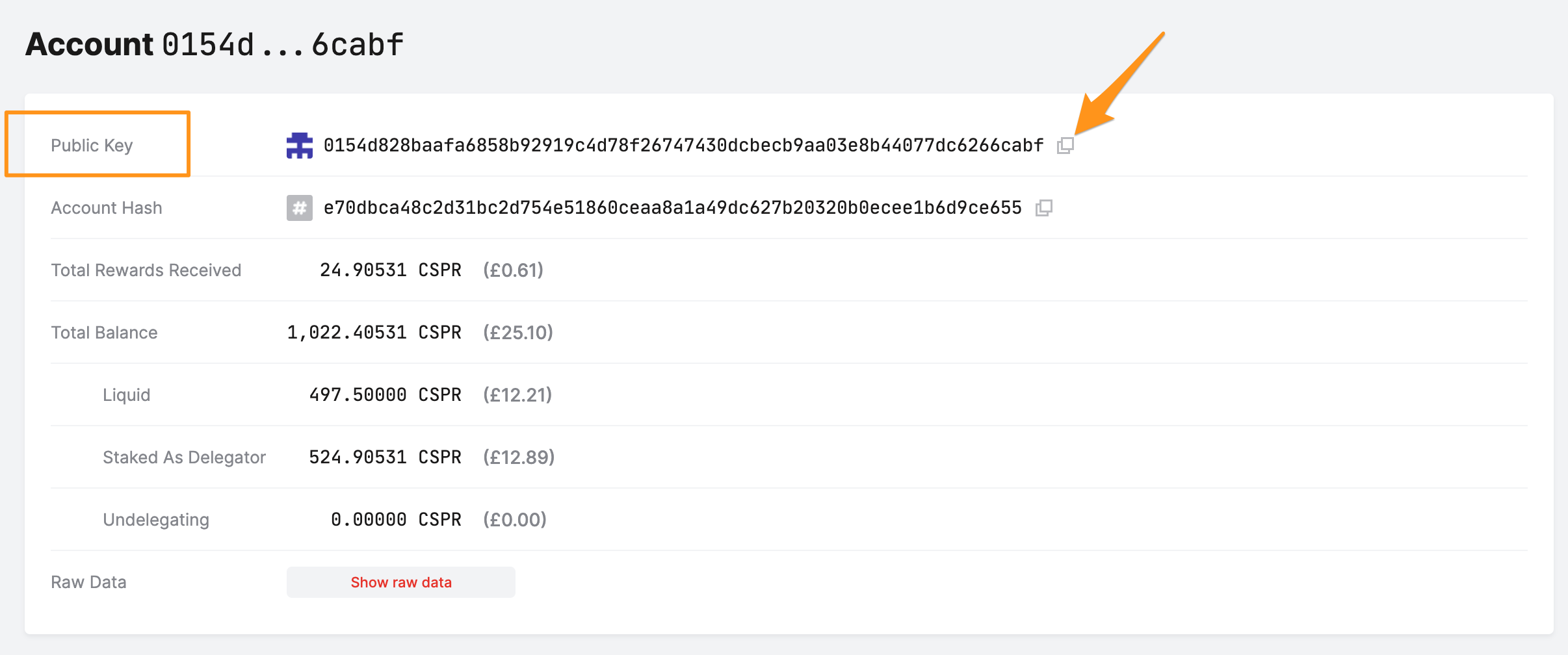 Account public key from CSPR.Live